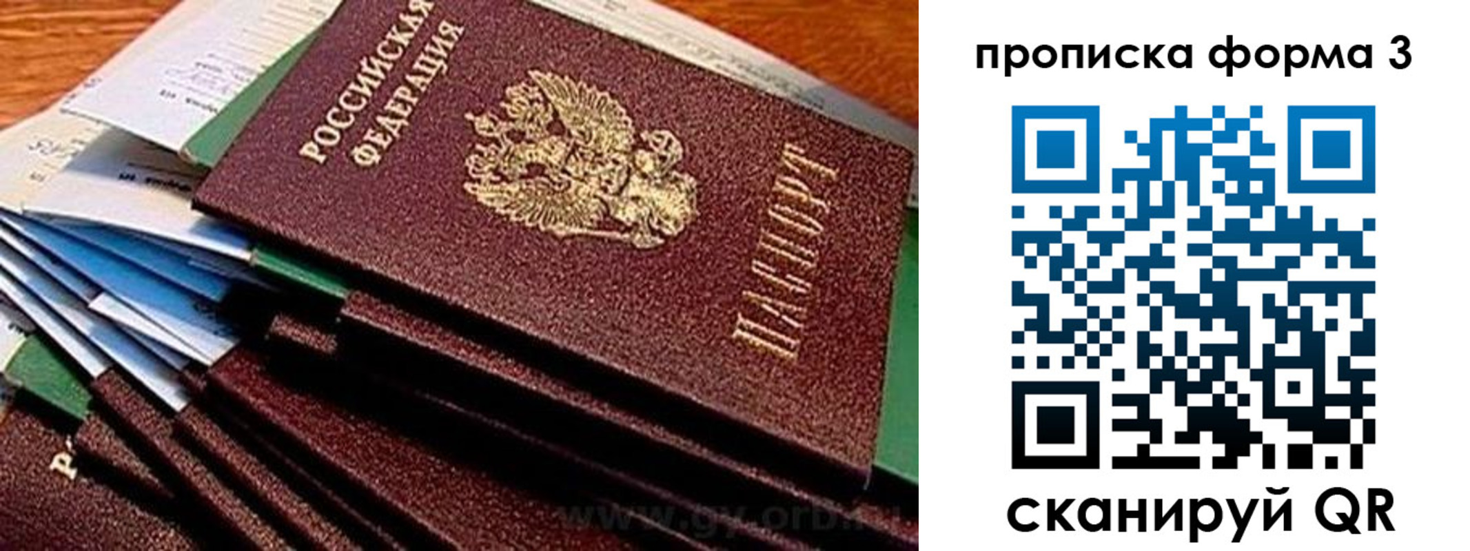 прописка иностранных граждан в Калининградской области